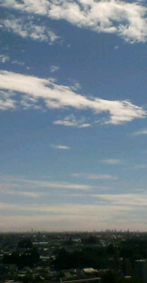 20061007105836.jpg