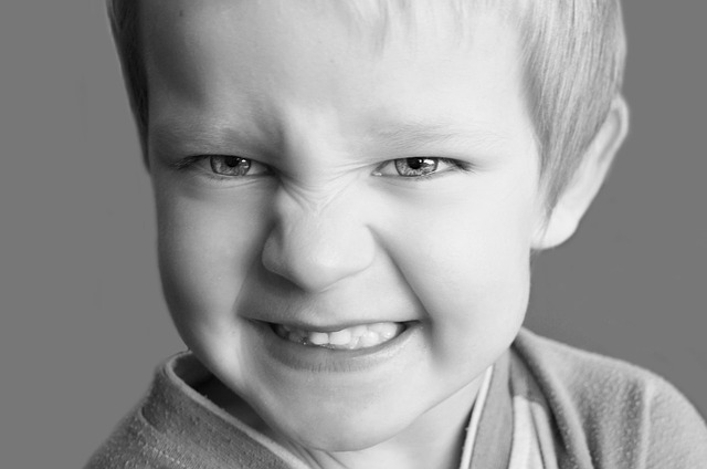snarling-83817_640.jpg